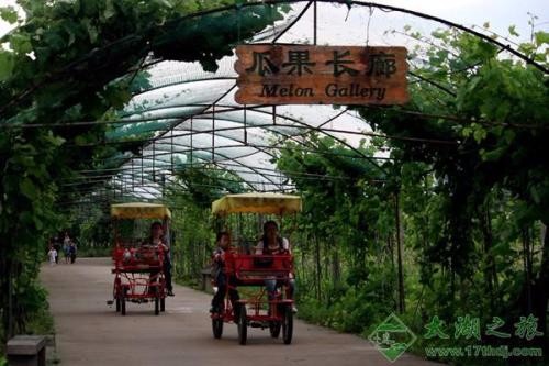 [蘇州太湖綠光農(nóng)場拓展基地]+ 致青春無悔！一日拓展活動