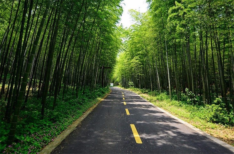 [南山竹海景區(qū)]+新員工一日?qǐng)龅貓F(tuán)建